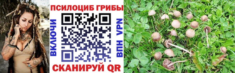 Галлюциногенные грибы Magic Shrooms  хочу   Рязань 