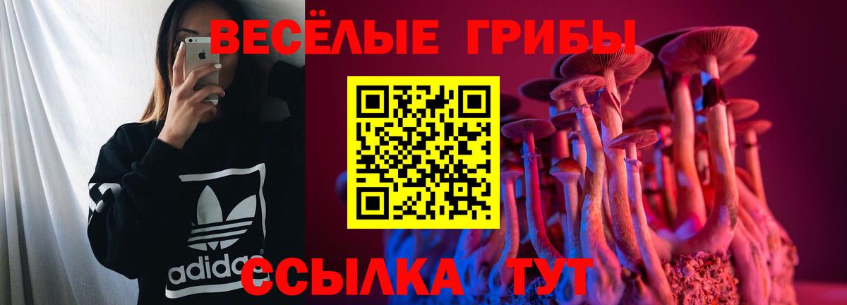 Рязань  Псилоцибиновые грибы прущие грибы  Вход с VPN 