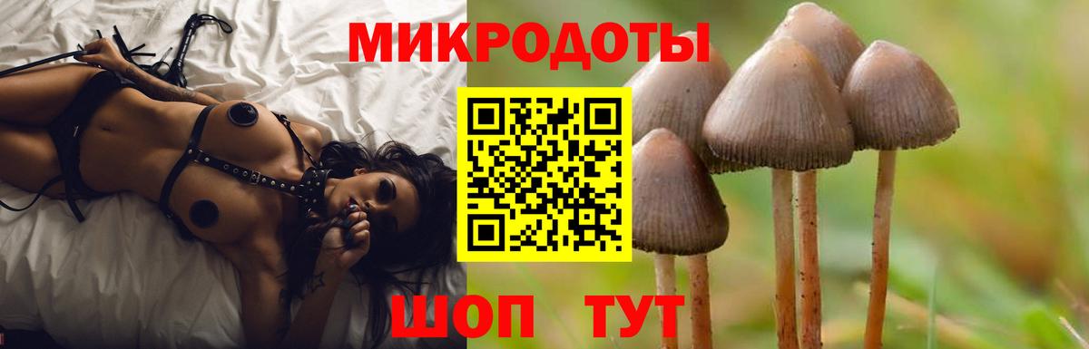 Псилоцибиновые грибы Psilocybe Рязань